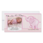Elephant Sweet Baby Girl Birth