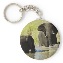 Elephant swimming (african elephant) keychain
