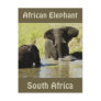Elephant swimming (african elephant) postcard