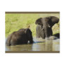 Elephant swimming (african elephant) postcard