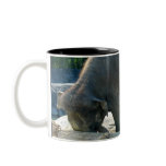ELEPHANT TRAINING mugs