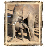 Elephant trunk framed elephant and calf T-Shirt