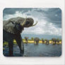 Elephant walk mousepads