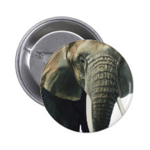 "Elephant" Wildlife Animal Watercolor Pinback Button