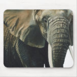 "Elephant" Wildlife Animal Watercolor mousepads