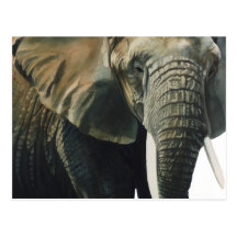 "Elephant" Wildlife Animal Watercolor Postcards
