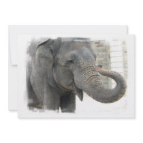 Elephant with Curled Trunk Invitation