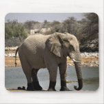 Elephant with mud socks mouse pads