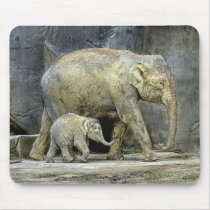Elephant with Newborn Calf Mousepad