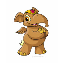 Elephante Brown t-shirts
