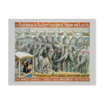 Elephants and Double Menagerie Circus Poster