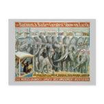 Elephants and Double Menagerie Circus Poster postcards