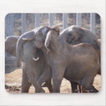 Elephants at Play mousepads