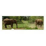 Elephants Bookmark Business Cards