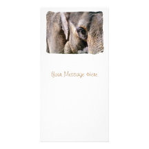 ELEPHANTS CUSTOM PHOTO CARD