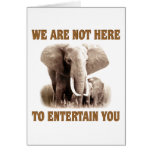 Elephants Deserve Respect cards