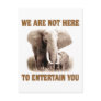 Elephants Deserve Respect Postcard