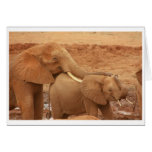 Elephants Greeting Card