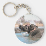 Elephants Immersed Keychain