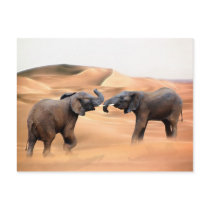 Elephants in the desert postcards
