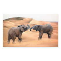 Elephants in the desert stickers