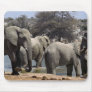 Elephants in the pool mousepads