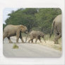 Elephants Mouse Pads