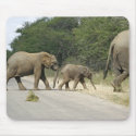 Elephants mousepads