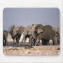 Elephant's mud bath mouse pad