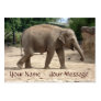 Elephants Never Forget Your Name And Message Card