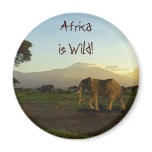Elephants of AFRICA Series