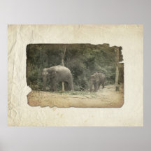 Elephants Poster