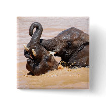 Elephants water world pinback button