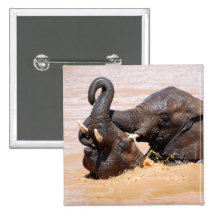 Elephants water world pinback button
