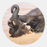 Elephants water world stickers