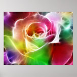 Eletric Rose Print