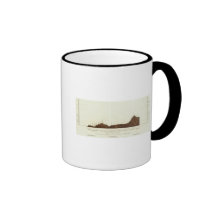 elevations from Acapulco to Mexico City Coffee Mugs