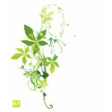 Elf Leaves- Women Shirts
