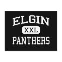 Elgin - Panthers - High - Elgin North Dakota postcards