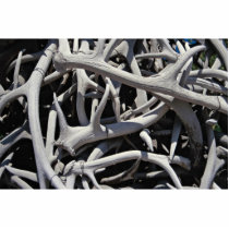 Elk antlers, Central Square, Jackson, Wyoming, U.S Cut Outs