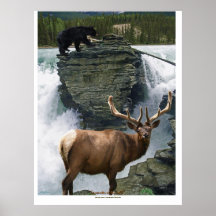 Elk & Black Bears Wildlife Art Poster