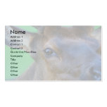 elk business card template