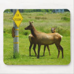 Elk Crossing Mousepad