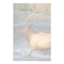elk customised stationery