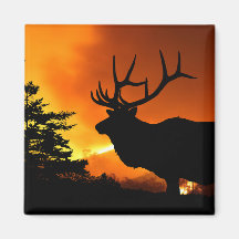 Elk Fridge Magnets