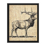 Elk Gallery Wrap Canvas