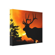 Elk Gallery Wrapped Canvas