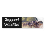 Elk Herd Bumper Sticker bumper stickers