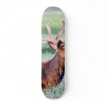 Elk Horns Skate Board Deck