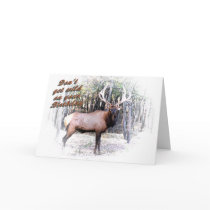 Elk in the Thicket Greeting Cards